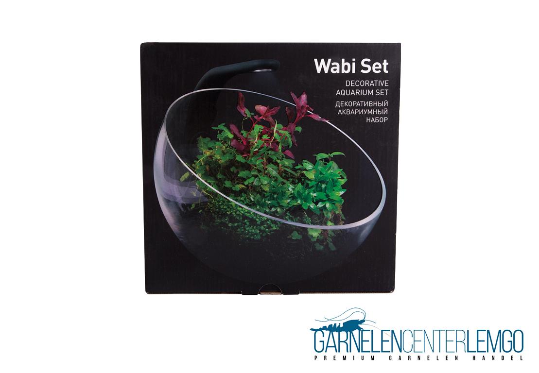 Collar Wabi Kusa Set