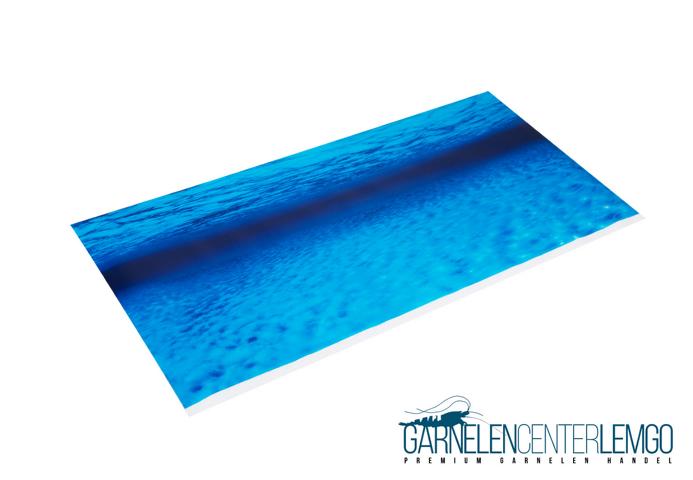 Aqua Nova Aquarien Hintergrund Wurzeln / Wasser 60x30 cm