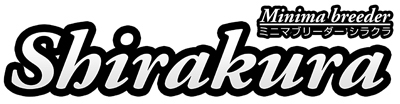 Shirakura