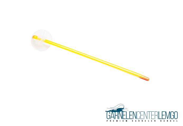 Aqua Nova Präzisionsthermometer aus Glas XL