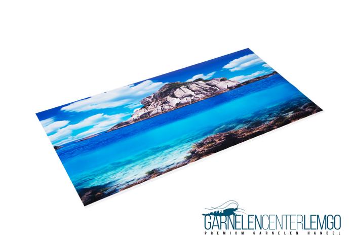 Aqua Nova Aquarien Hintergrund Pflanzen / Meer 60x30 cm