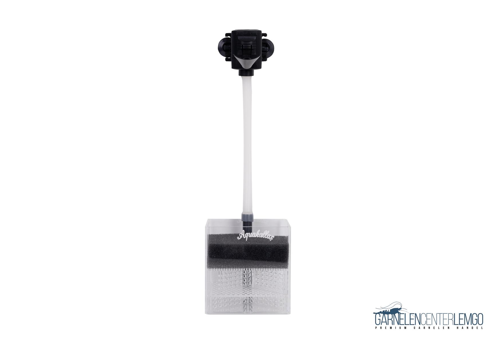 Undergravel Boxfilter mit Pat Mini - Größe S 10x10x10cm