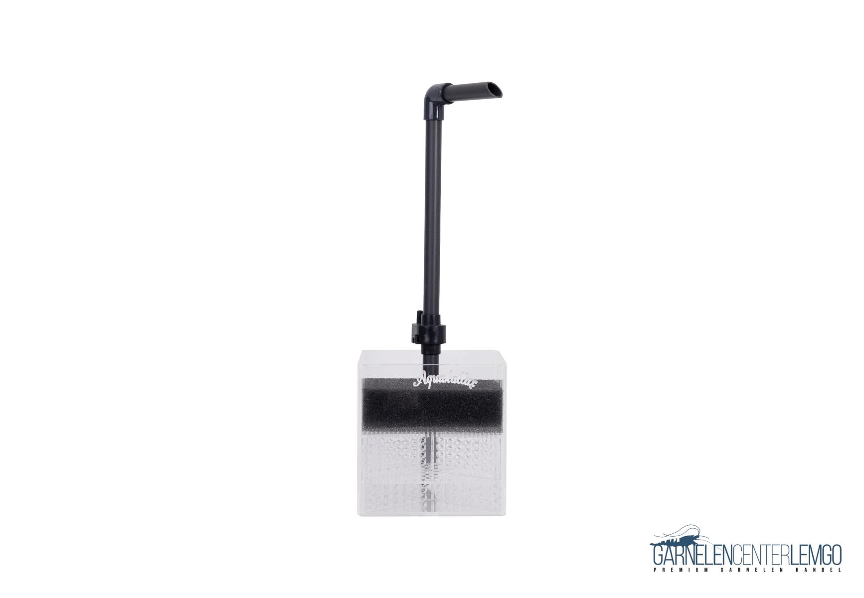 Undergravel Boxfilter - Größe S 10x10x10cm