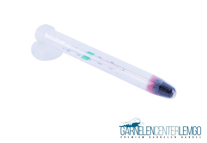 Glas Thermometer