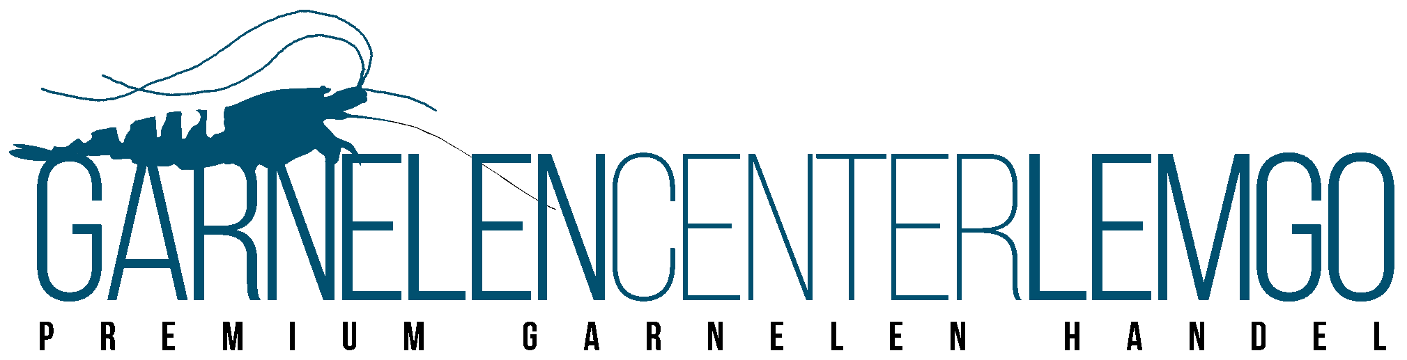 Zur Startseite gehen